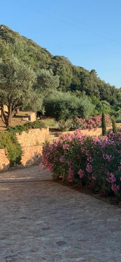 Bed and Breakfast Stella d'Argento Porto Santo Stefano  Exterior foto